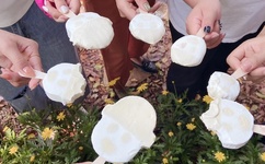 在线高清无码欧美久章草